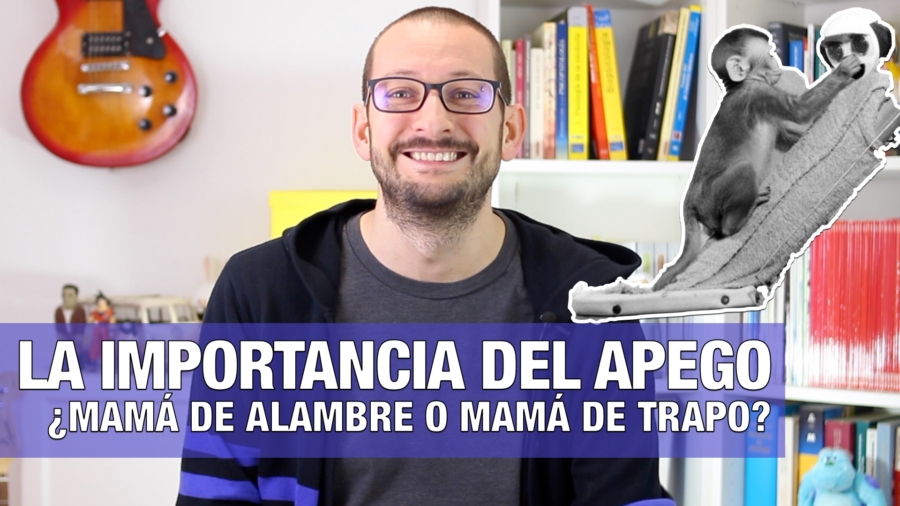 El apego: ¿mamá de alambre, o mamá de trapo?