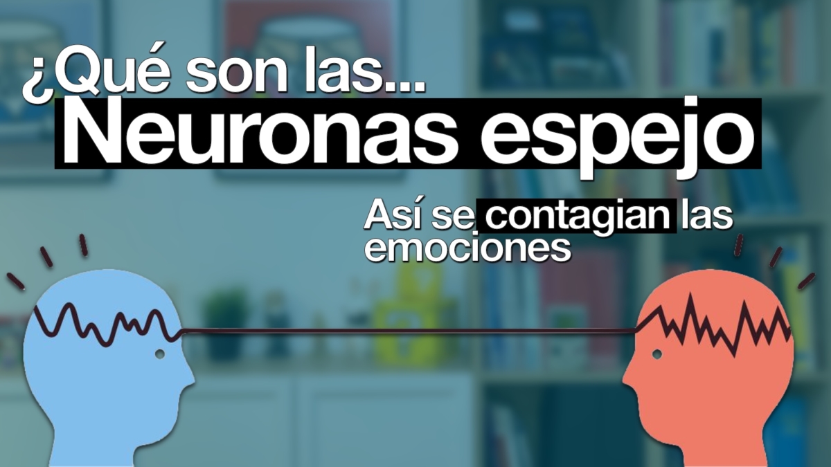 neuronas espejo