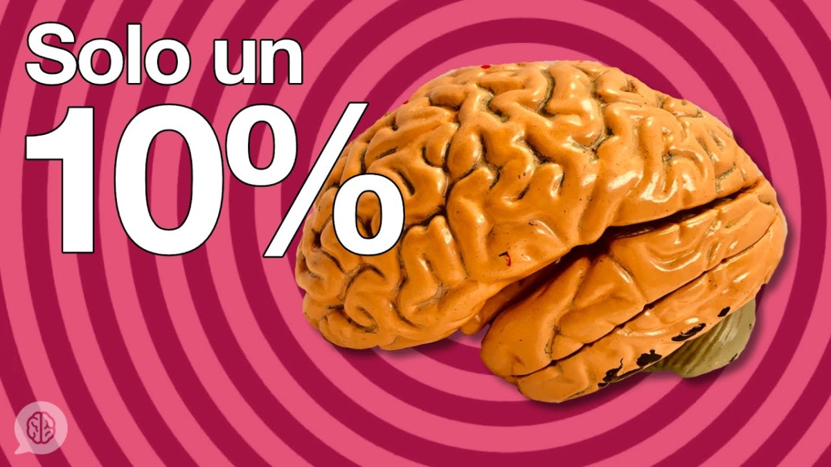 solo un 10%